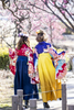 Warum tragen japanische Frauen Hakama zur Abschlussfeier?