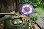 Die japanische Regenzeit und das Leben mit Kimono